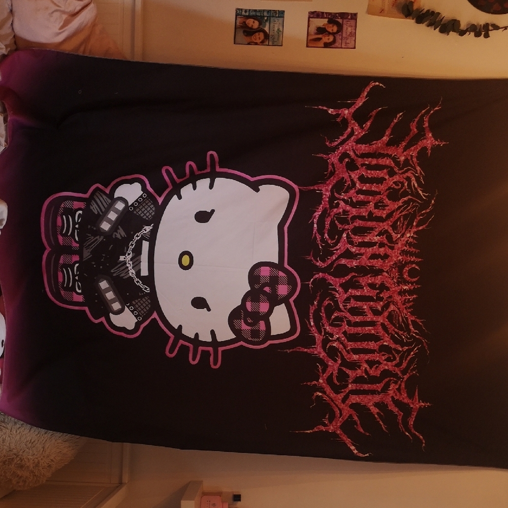 SHEIN Hello Kitty Pink and Black Wall Art